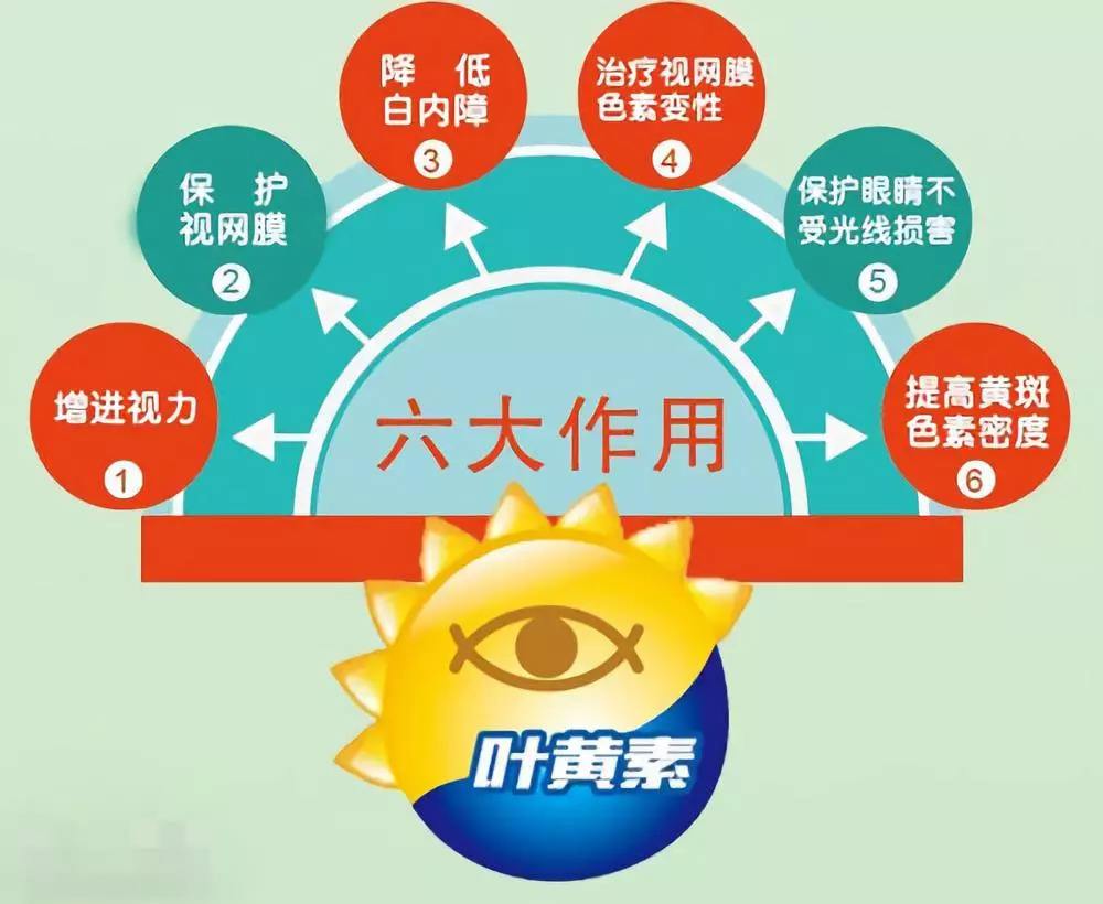 【焕彩国际】为什么眼睛要补充叶黄素？(图4)