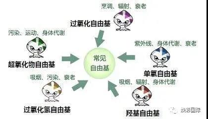 为什么晚上要用眼霜(图4)